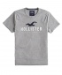 Hollister Cotton Short Sleeve T-Shirt  - Grey