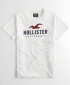 Hollister Cotton Short Sleeve T-Shirt - White